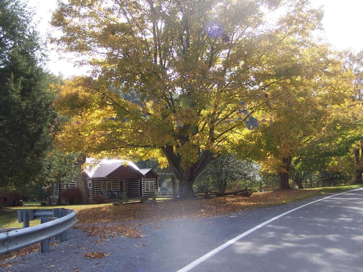 Gorgeous! Near I-77, Historic Log For 2, Wifi, Antiques, River Access, Near