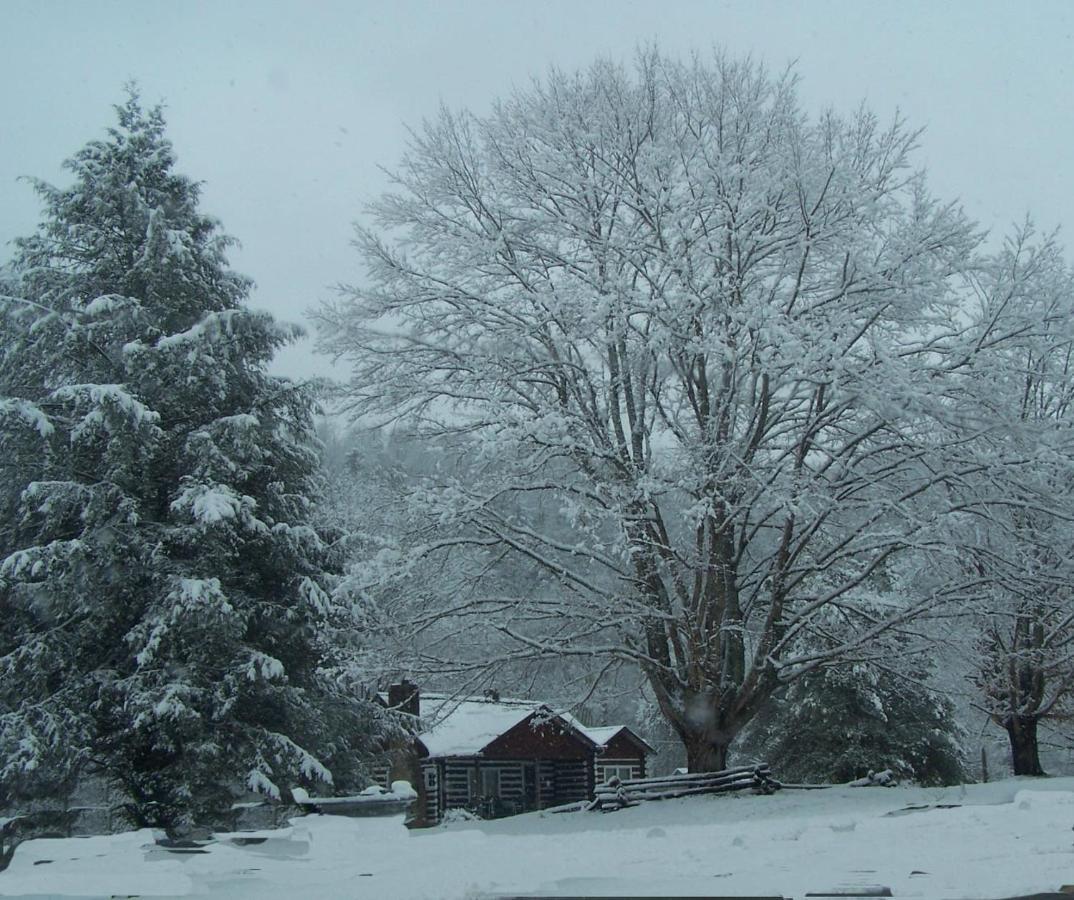 Gorgeous! Near I-77, Historic Log For 2, Wifi, Antiques, River Access, Near Séjour à la ferme