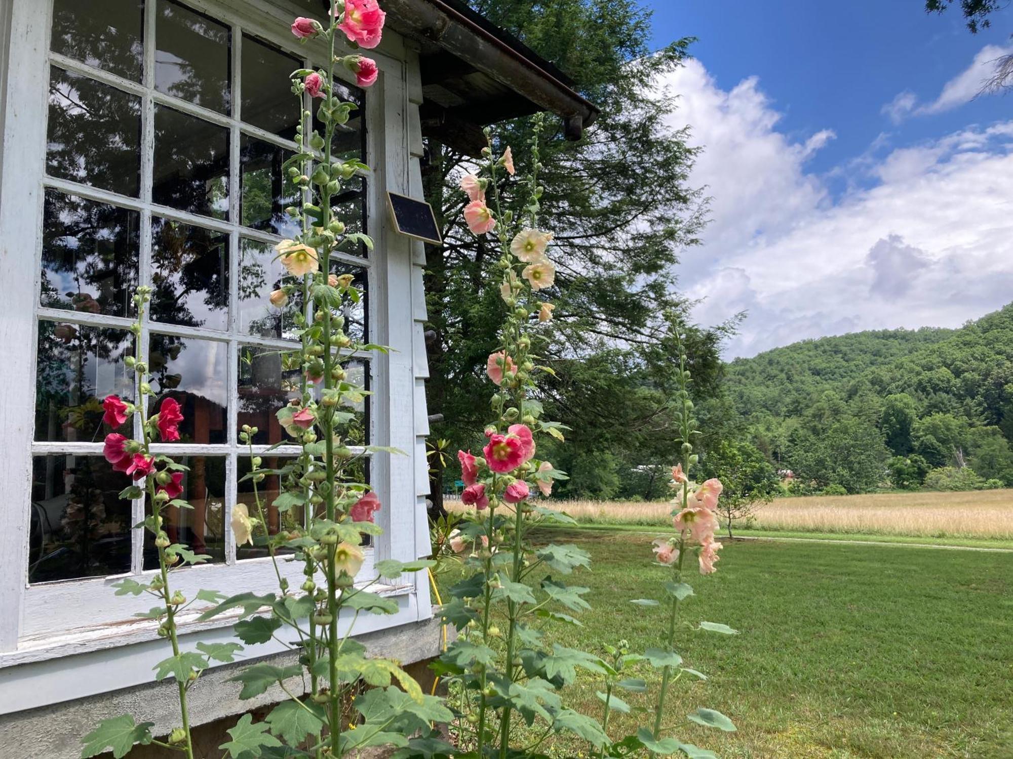 Gorgeous! Near I-77, Historic Log For 2, Wifi, Antiques, River Access, Near