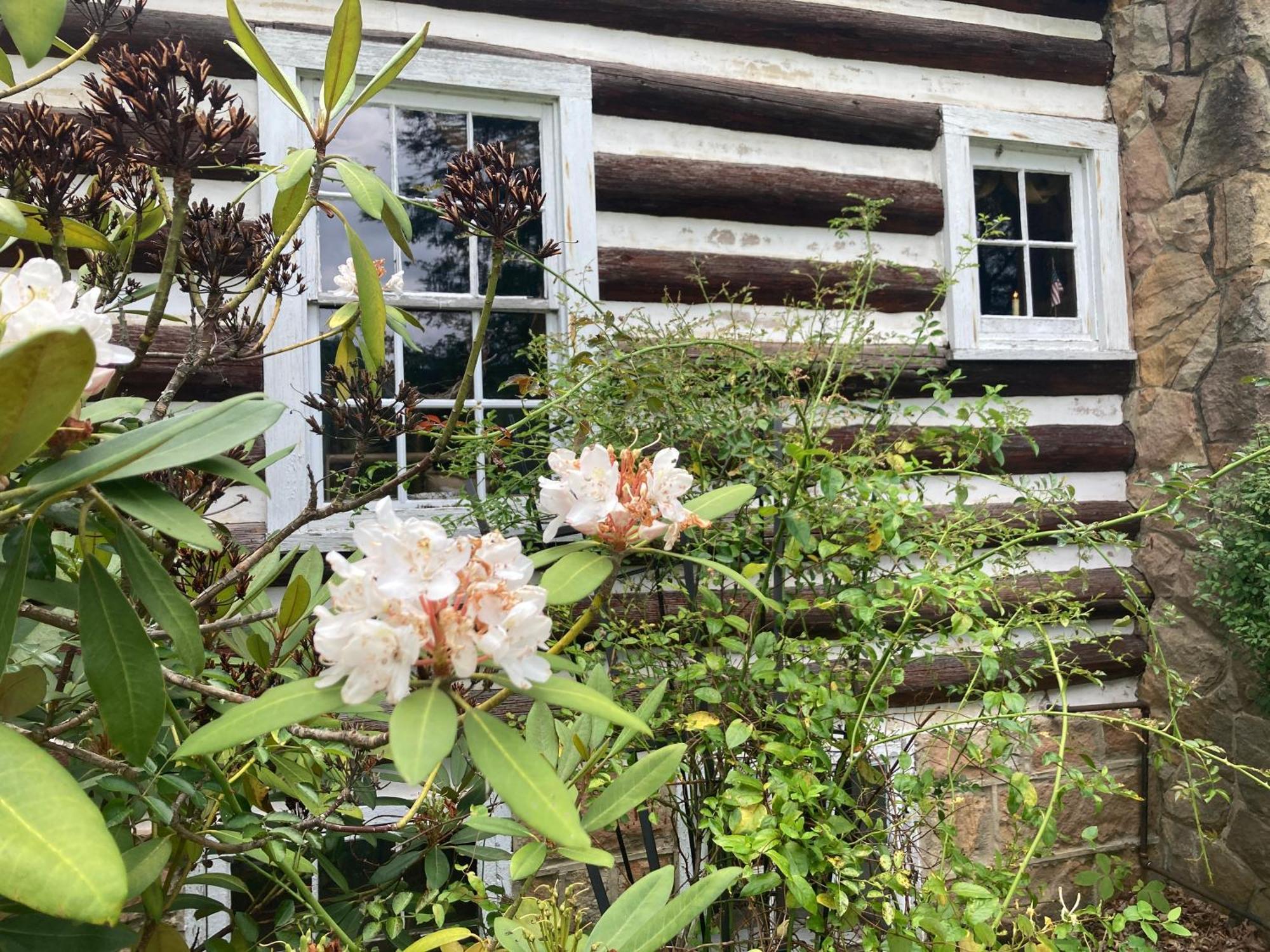 Séjour à la ferme Gorgeous! Near I-77, Historic Log For 2, Wifi, Antiques, River Access, Near