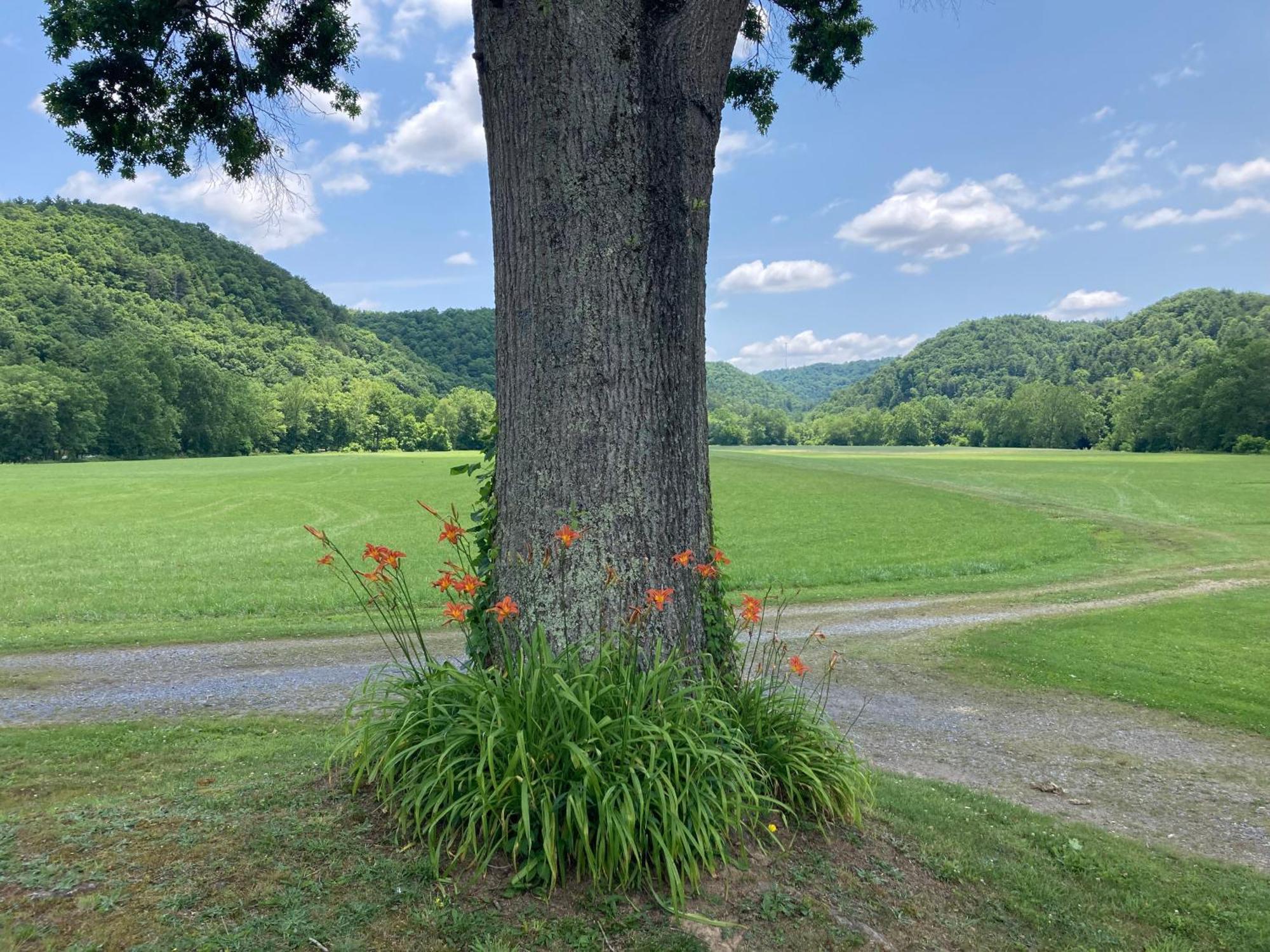 Gorgeous! Near I-77, Historic Log For 2, Wifi, Antiques, River Access, Near Séjour à la ferme Princeton