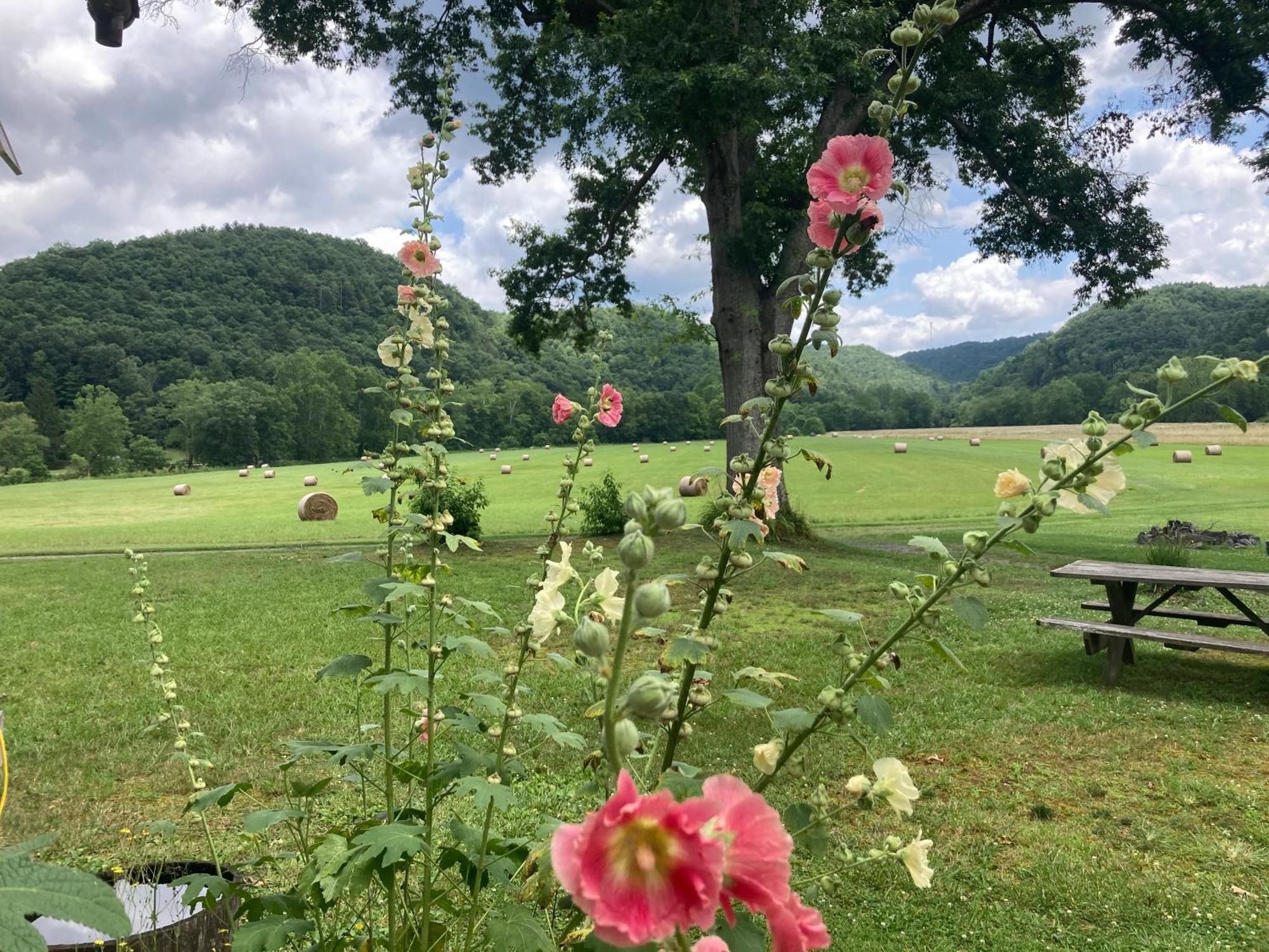 Séjour à la ferme Gorgeous! Near I-77, Historic Log For 2, Wifi, Antiques, River Access, Near Princeton