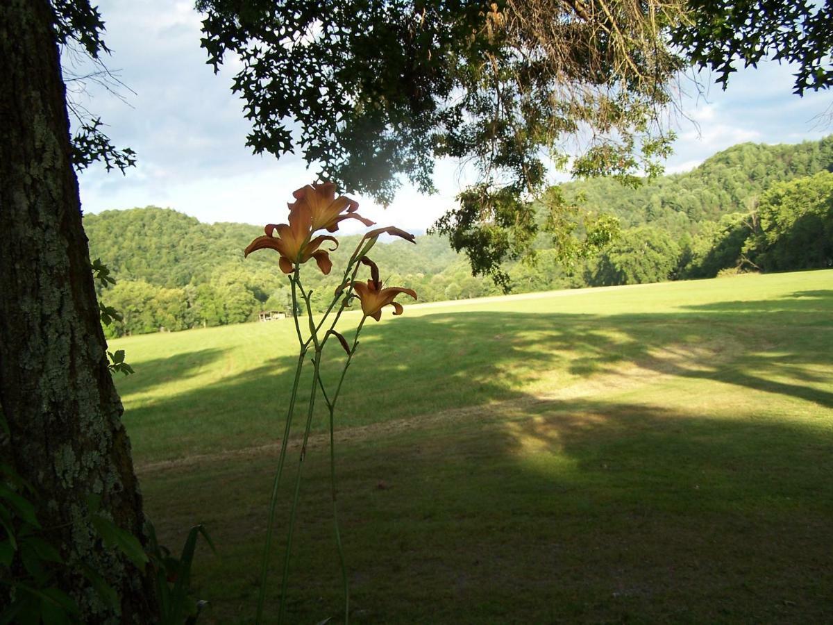 Gorgeous! Near I-77, Historic Log For 2, Wifi, Antiques, River Access, Near Séjour à la ferme *